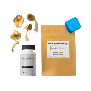 First Timer Magic Mushroom Kit.