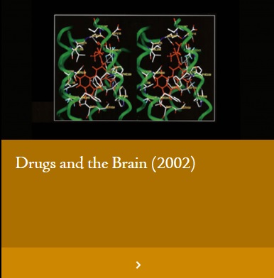 Drugs and the Brain (2002)