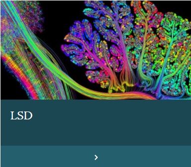 LSD