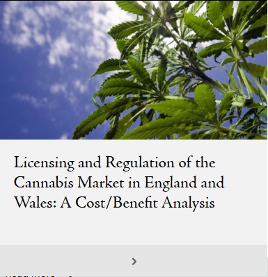 Licensing and Regulation of the Cannabis Market
