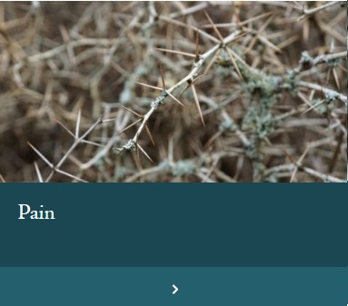 Pain