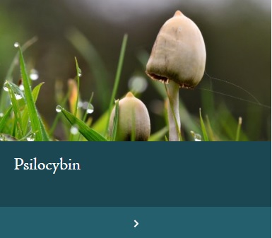 Psilocybin