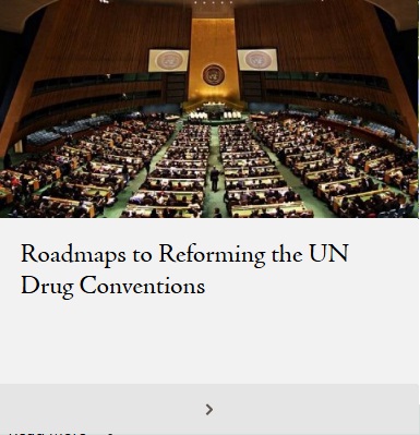 Roadmaps to Reforming the UN Drug Conventions