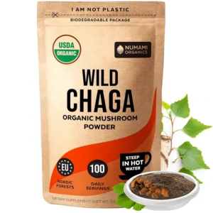 buy Chaga Mushroom Powder