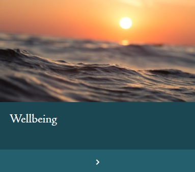 wellbeing